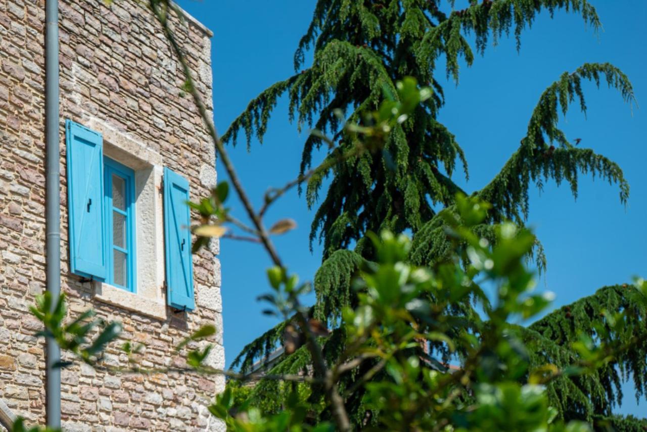 Julijud, Heated Pool, Jacuzzi, Dome And Sauna Vila Brajkovici (Pazin)